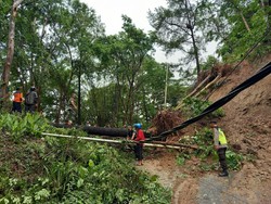 Longsor di Hutan Tunggangan Wonogiri Putus Akses Tirtomoyo-Jatiroto