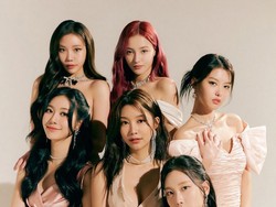 MOMOLAND is Back!