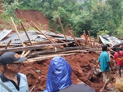 Tebing di Patuk Gunungkidul Longsor, Seekor Sapi Jadi Korban
