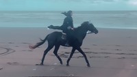 <p>Penampilan Zaskia yang berbusana serba hitam ketika berkuda di pantai sukses curi perhatian, Bunda. Netizen menyebutnya tampak seperti wanita yang berperang di zaman dahulu,<em> "Masya Allah kaya wanita wanita jaman fisabilillah, keren keren keren,</em>" ucap akun @gallena_********. (Foto: Instagram @zaskiasungkar15)</p>