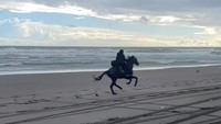 <p>Namun baru-baru ini, Zaskia Sungkar sudah bisa berkuda di luar arena tersebut. Seperti ketika ia berkelana menyusuri tepi pantai. Di TikTok, Zaskia juga mengungkapkan bahwa ini kali pertama naik kuda pakai abaya. "Pertama kali nyoba di luar stable. Makin pengen belajar rutin, masih harus banyak yang dipelajari," ujarnya. (Foto: Instagram @zaskiasungkar15)</p>