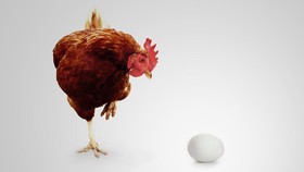 Duluan Ayam atau Telur?