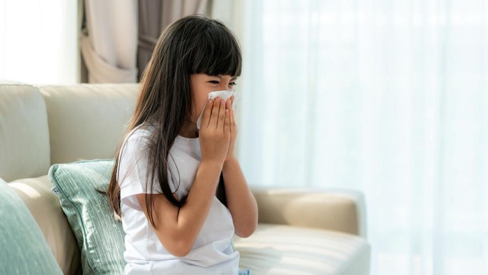 Asian child or kid girl sick and sad with sneezing on nose and cold cough on tissue paper because influenza and weak or virus bacteria from dust weather or smoke and kindergarten school for medical.