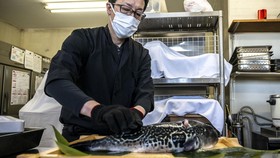 WNI Cemas usai Jepang Buang Limbah Nuklir: Hindari Makanan Fukushima
