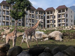 Jarang Tersorot, Ini Sosok Keluarga di Balik Taman Safari Indonesia