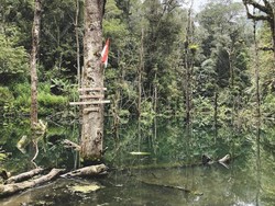 Jalan Panjang Menuju Lembah Tengkorak yang Tersembunyi di Hutan