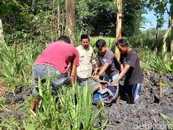 Sprei-Sarung Penuh Darah Suami Instruktur Senam Dikubur di Belakang Rumah