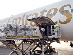 Emirates Salurkan 100 Ton Bantuan Buat Korban Gempa Turki-Suriah