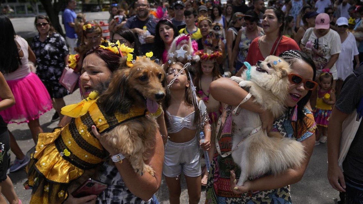 FOTO: Anjing-anjing Berkosum Lucu Adu Gaya di Karnaval Brasil