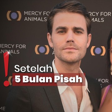 Paul Wesley Resmi Gugat Cerai Usai Rumor Ines de Ramon dengan Brad Pitt