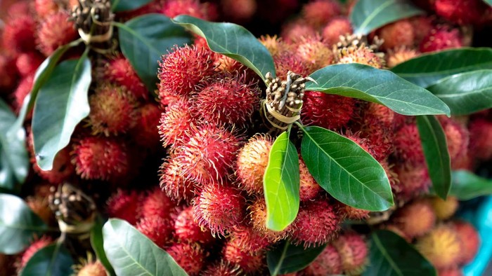img-title Buah Populer di Indonesia Ini Ternyata Bisa Menjadi Alternatif Retinol Alami untuk Kulit Sensitif, Kamu Sudah Tahu?