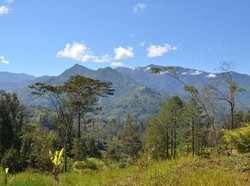 Dunia Hari Ini: Empat Peneliti Disandera di Papua Nugini