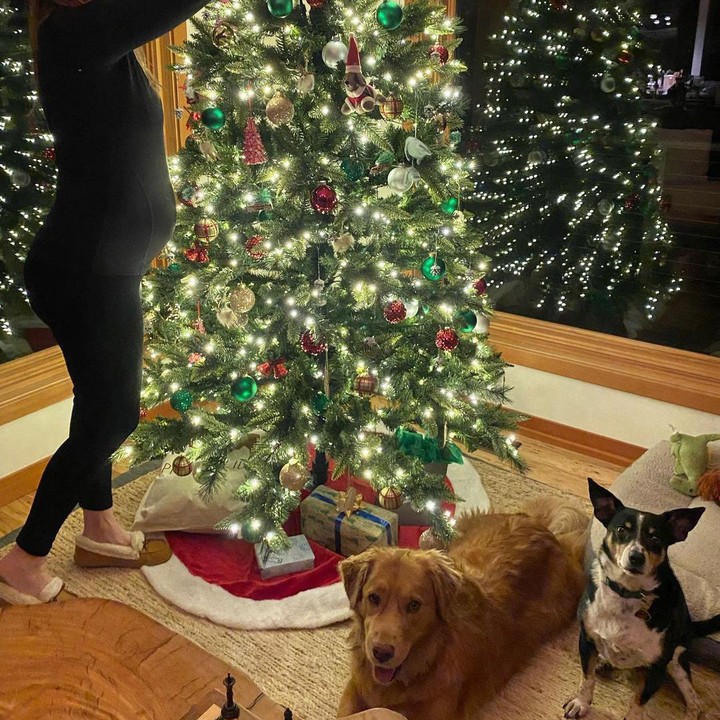<p>Hilary Swank sebentar lagi dikaruniai anak kembar, Bunda. Pada Oktober 2022, Swank dan suaminya, Philip Schneider, pertama kali berbagi kabar bahagia ini ke publik. (Foto: Instagram @hilaryswank)</p>