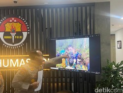 Tim SAR Bakal Tebang Pohon Besar demi Kelancaran Evakuasi Kapolda Jambi
