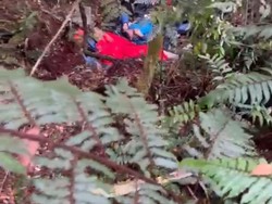 Video Kondisi Terkini Korban Heli Kapolda Jambi Jatuh di Tengah Hutan