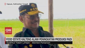VIDEO: Mentan Tinjau Food Estate Kalteng