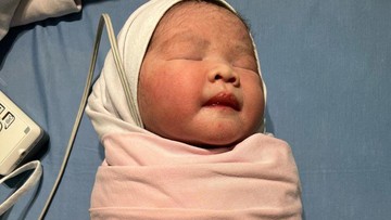 KEHIDUPAN HINGGA PENGERTIAN