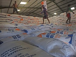 4 Fakta Bansos Beras 213.000 Ton Sudah Disebar ke Seluruh RI