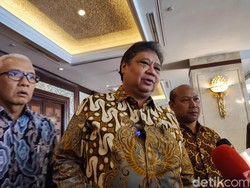 Jokowi Nyatakan Amali Mundur Informal dari Menpora, Ini Kata Airlangga