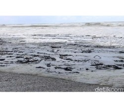 Kapal Tanker Bocor, Aspal Tumpah Cemari Laut Nias 70 Km-Bikin Penyu Mati