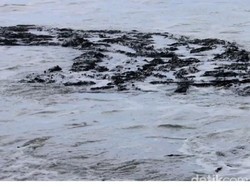 Nasib Laut di Nias Tercemar Hingga 70 Km Buntut Kapal Angkut Aspal Bocor