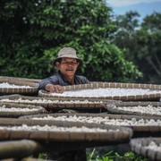 5 Fakta Menarik Kampung Cireundeu, Penduduknya Ratusan Tahun Tidak Makan Nasi