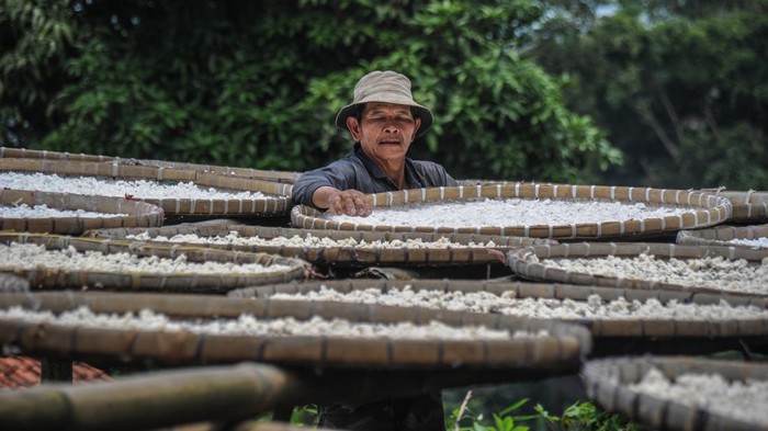 5 Fakta Menarik Kampung Cireundeu, Penduduknya Ratusan Tahun Tidak Makan Nasi