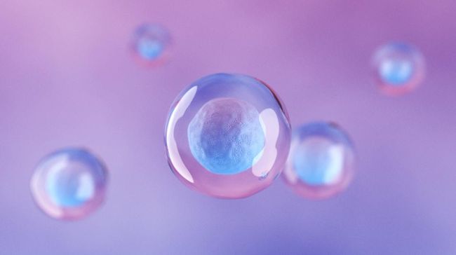 Terapi sel punca atau stem cell jadi jalan pemulihan yang menjanjikan. Agar tak terjebak pada stem cell abal-abal, ahli ingatkan untuk cek beberapa hal berikut.