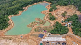FOTO: 15 Juta Bibit Pohon Disiapkan untuk Hijaukan IKN Nusantara
