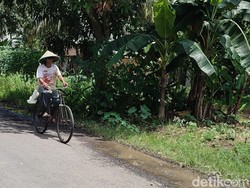 Penyebab 5 Daerah di Ciamis Ini Lebih Kental Lakoni Budaya Jawa