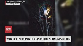 VIDEO: Wanita Kesurupan di Atas Pohon Setinggi 5 Meter