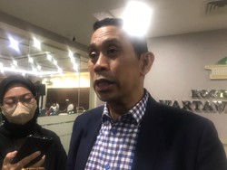 Pilkada Pakai Putusan MK, Politikus Gerindra Yakin Ada Dinamika Koalisi
