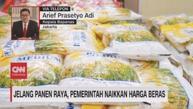 VIDEO: Beras Mahal, Pemerintah Kok Malah Naikkan Harga Beli Gabah?