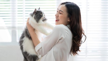 Detik Network
