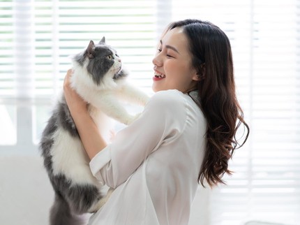 7 Cara Menghilangkan Bulu Kucing di Karpet hingga Baju, Efektif dan Mudah