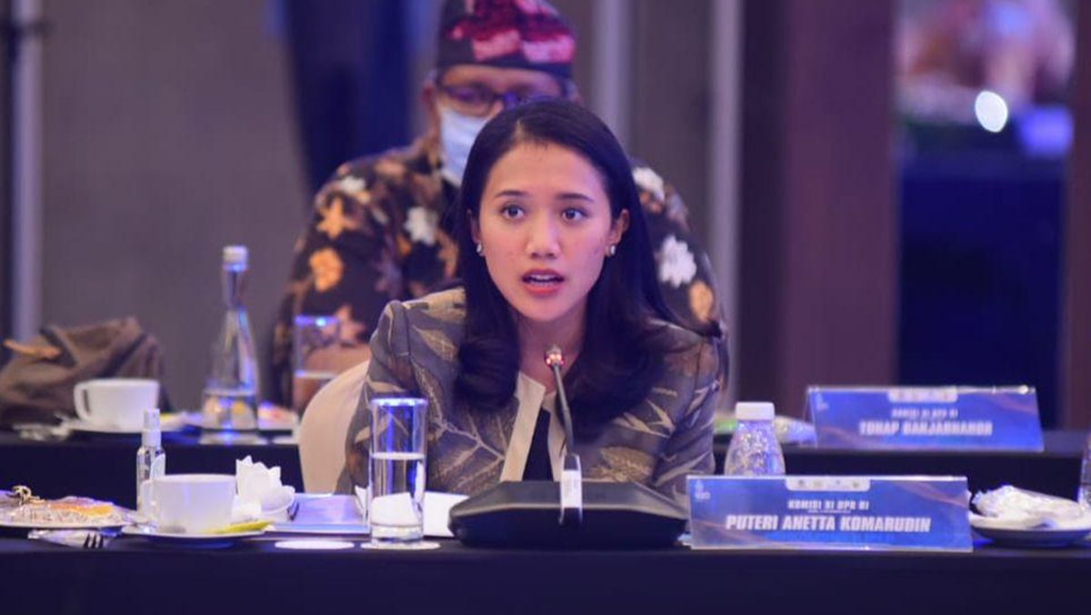 Puteri Komarudin Ingatkan Lindungi Konsumen di Aturan OJK Soal Karbon
