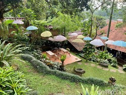 Ada Sambal Bakar Paru Enak di Pinggir Kali Cinere