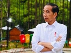 Jokowi Resmikan Persemaian Mentawir Kapasitas Produksi 15 Juta Bibit