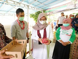Menengok Packing House, Tempat Petani Jambewangi Optimalkan Hasil Panen