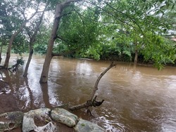 Langganan Banjir Bikin Warga Cawang Hafal Asal Air Dari Mana