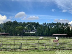 De Ranch Lembang: Fasilitas, Jam Buka dan Harga Tiket