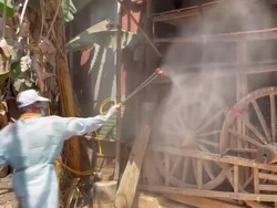 Kasus Flu Burung yang Terdeteksi pada Manusia di Kamboja