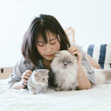 Bersiap Liburan! Ini 8 Cara Terbaik Bepergian dengan Hewan Peliharaan Agar Nyaman dan Bebas Stres
