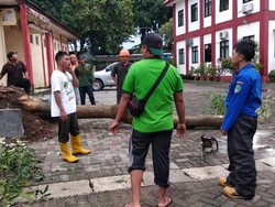 Angin Kencang Robohkan Warung dan Tumbangkan Pohon di Pasuruan