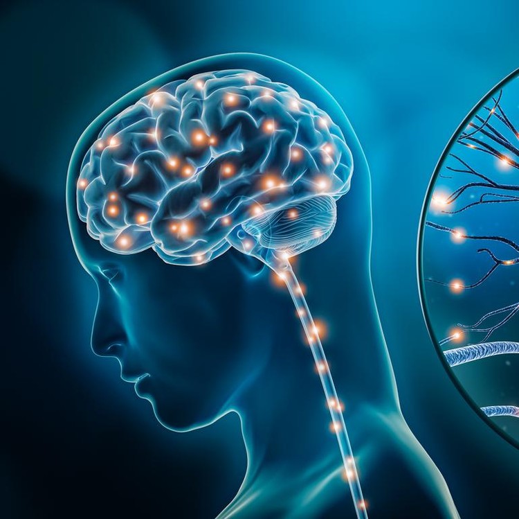 Ilustrasi neuron atau sel saraf