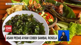 VIDEO: Inovasi Olahan Ayam dan Bebek