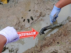 Pria Tewas di Tengah Sawah di Serang Diduga Pelaku Pencurian