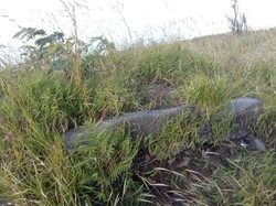 Disdikbud Boyolali Ekskavasi Situs Timboa di Lereng Gunung Merbabu