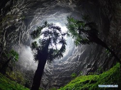 Lubang Surgawi Raksasa Ditemukan di China, Isinya Hutan Purba!
