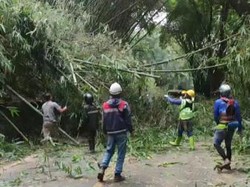 Longsor Sempat Putus Akses Jalan di Ciwidey